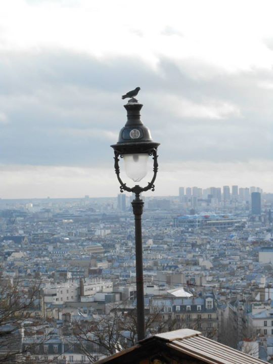 Das escadarias da Sacre Coeur com o visual de Paris