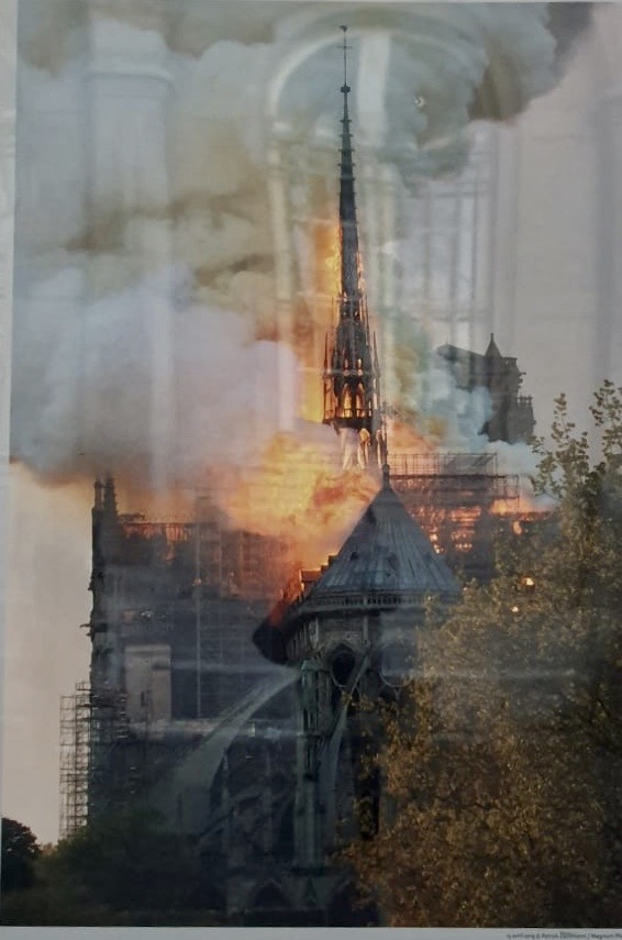 8c1afaf8-e38b-4638-b5dc-27cfa06d2d09